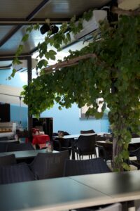 Ristorante al Lago Magadino, gambrogno ticino